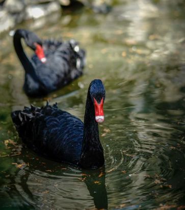 被評為“上海名牌”產(chǎn)品，這家企業(yè)究竟為民族閥門工業(yè)盡了多少力量？-