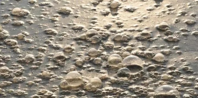 污水廠內(nèi)的生物氣溶膠怎么產(chǎn)生，污水從業(yè)人員如何做好防護？-