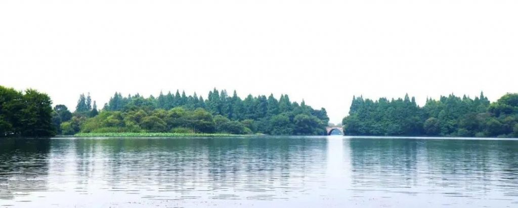 疫情下多重優勢浮現，來看看地下式污水處理廠的實力吧！-